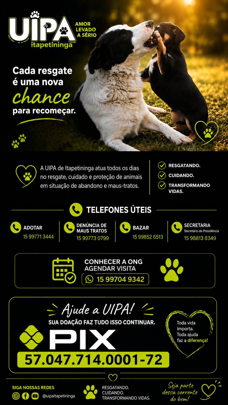 Arte institucional da UIPA Itapetininga com informações sobre resgate, cuidado, transformação de vidas, telefones úteis, visita à ONG, PIX e redes sociais.